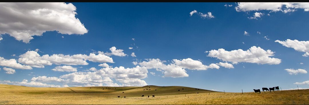 Sandhills Big Sky