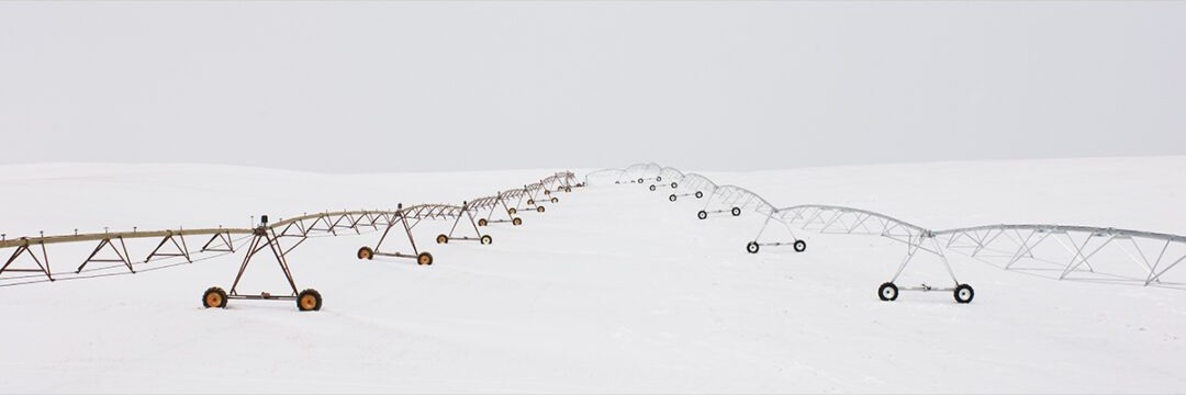 Wintered Pivots I
