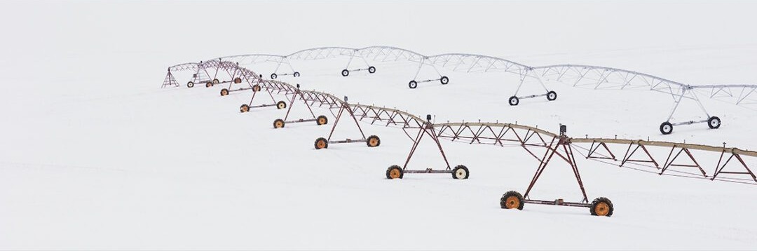 Wintered Pivots II